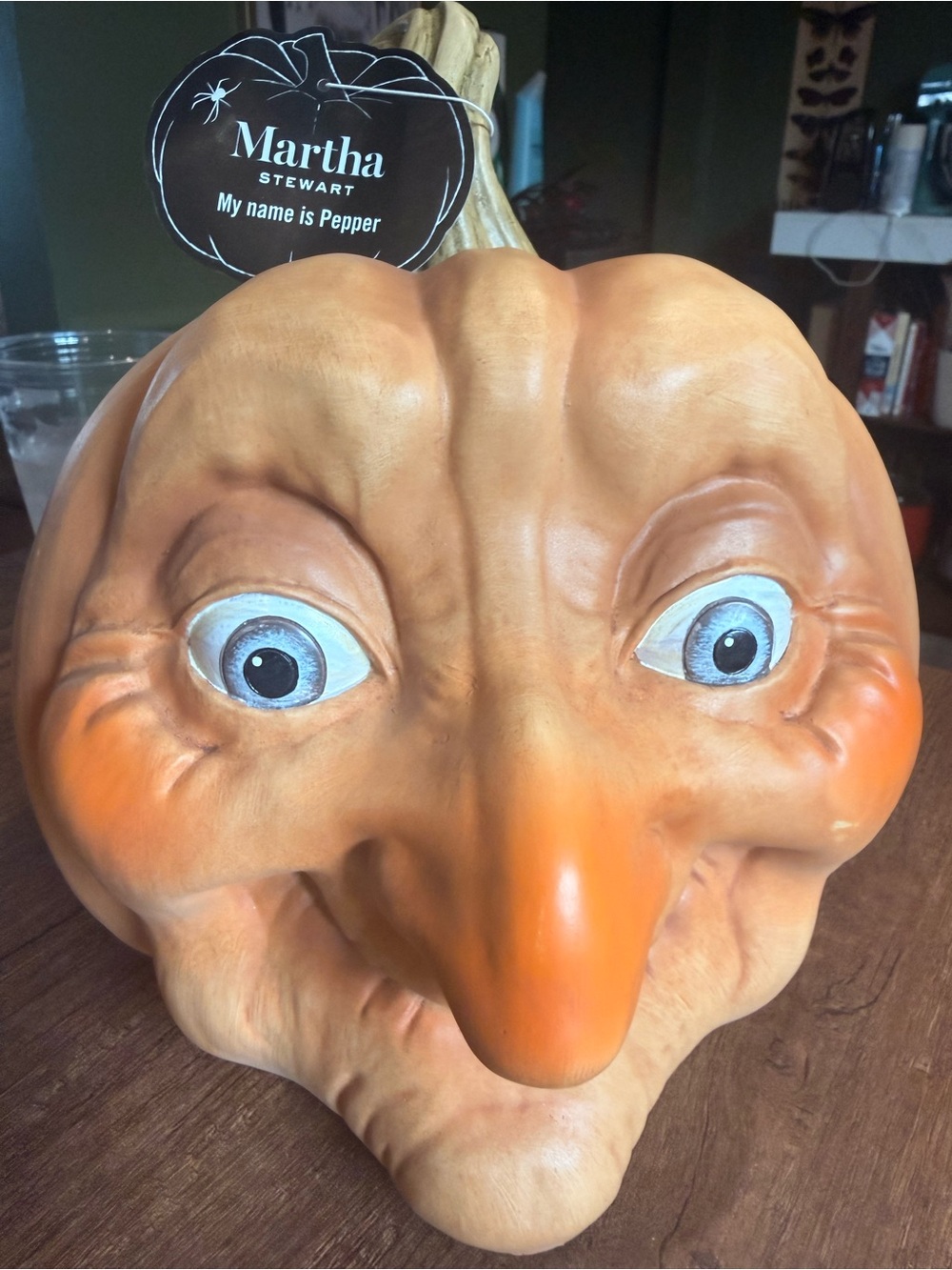 Martha Stewart VIRAL Ugly Pumpkin Home Goods Seasonal Halloween Decor
